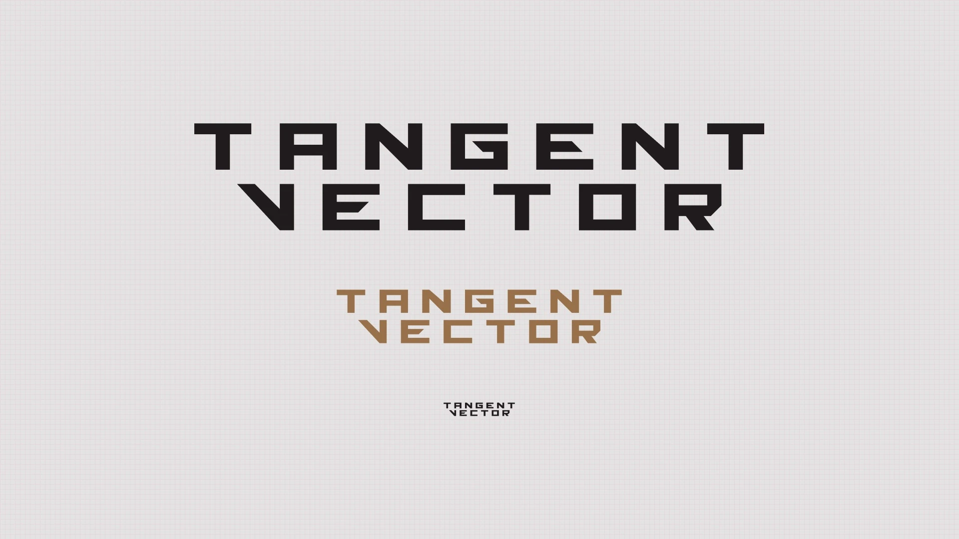 TangentVector / Branding, project view 4