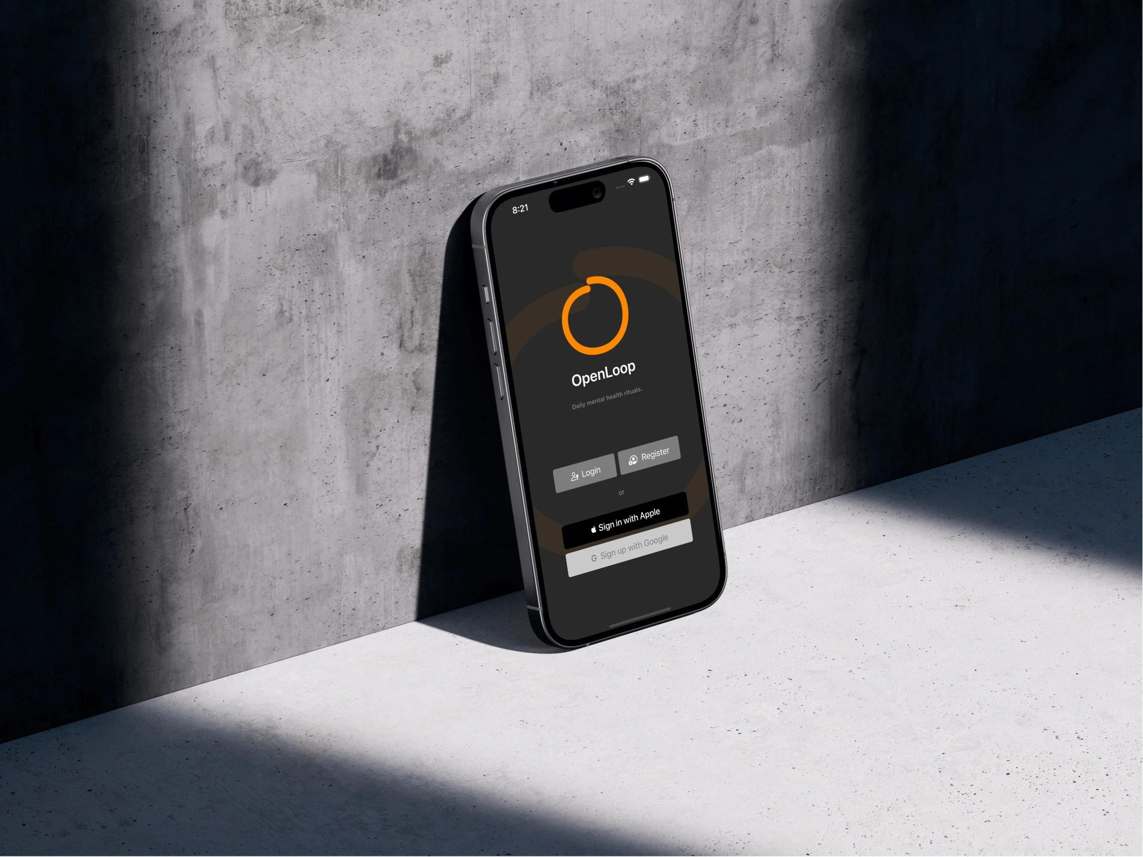 OpenLoop, project view 2