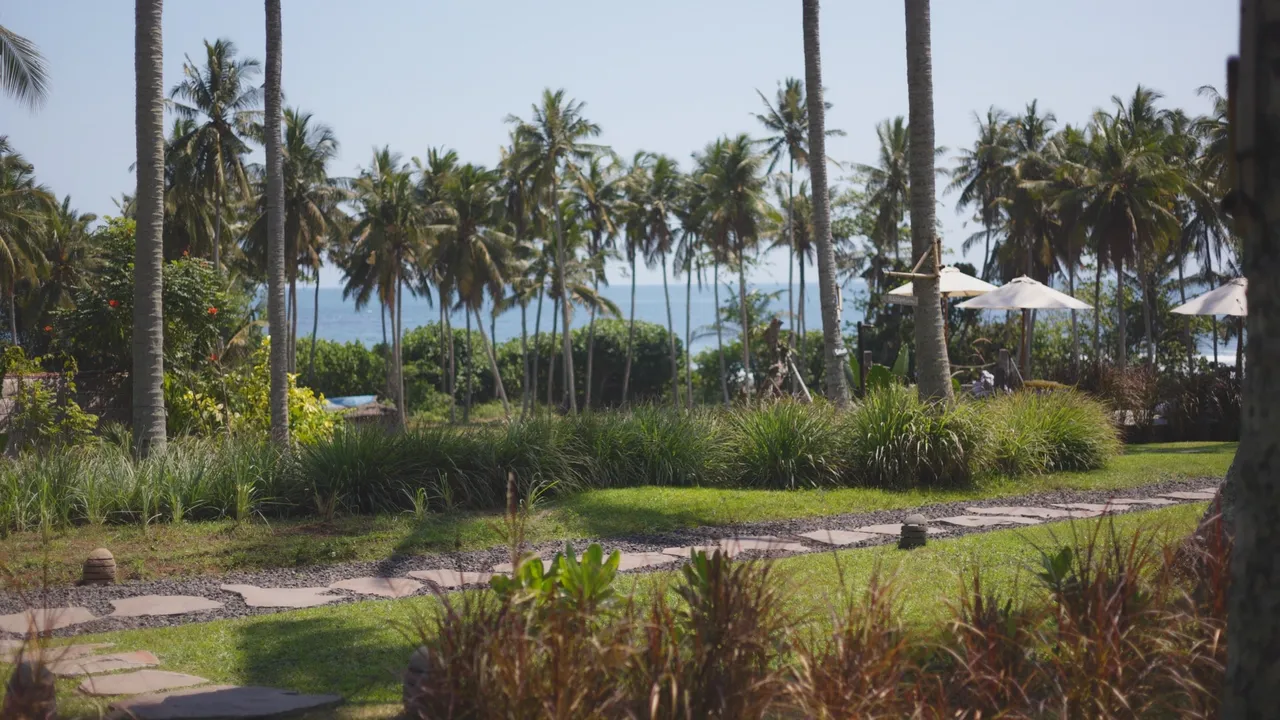 Bali / #soundsofplants