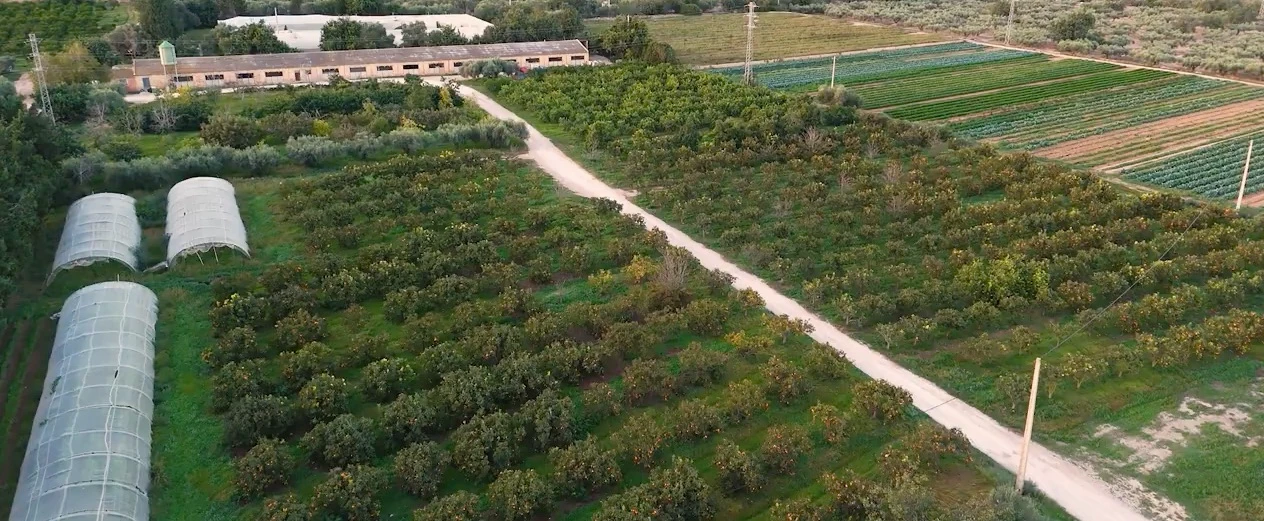xavi / regenerative farmer, project view 2