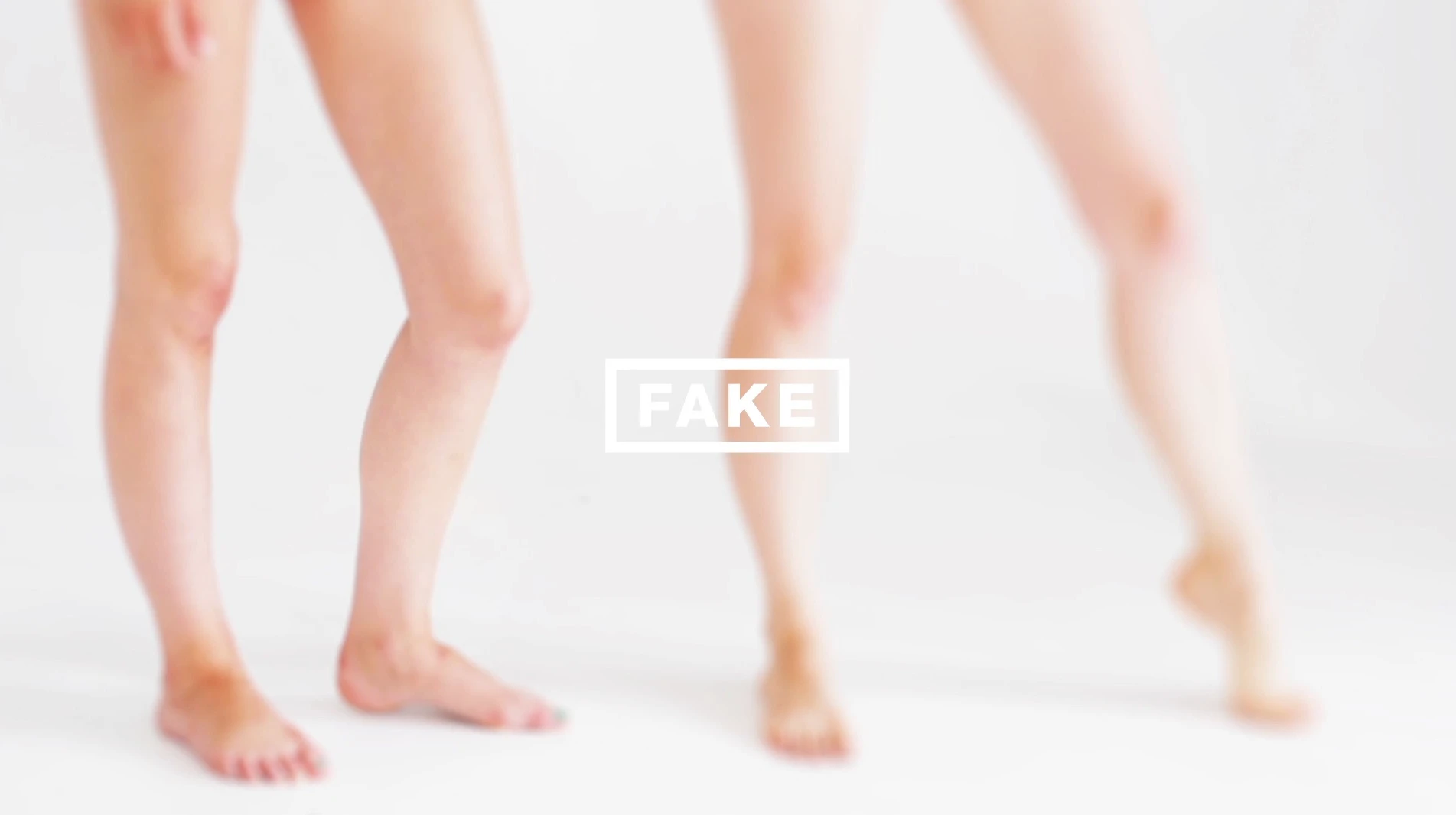 FAKE, project view 2