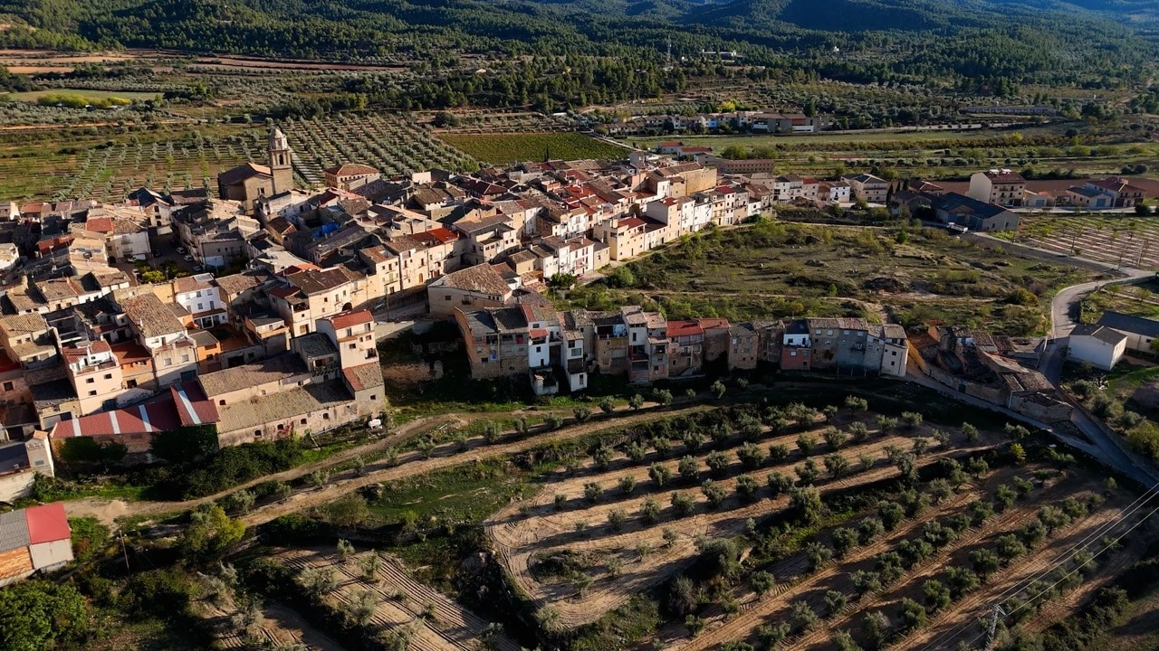 Arnes, project view 4