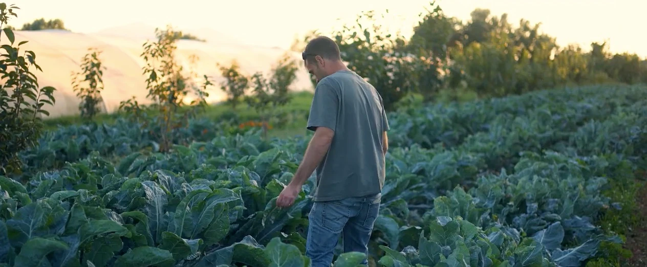 xavi / regenerative farmer, project view 3